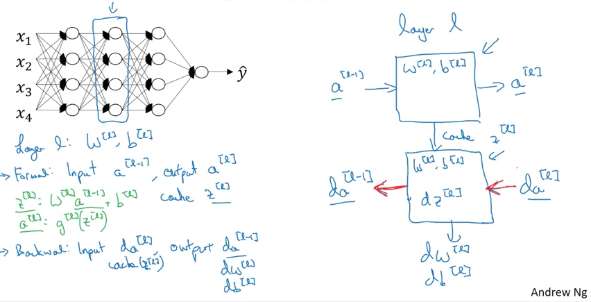 Forward and Backward functions